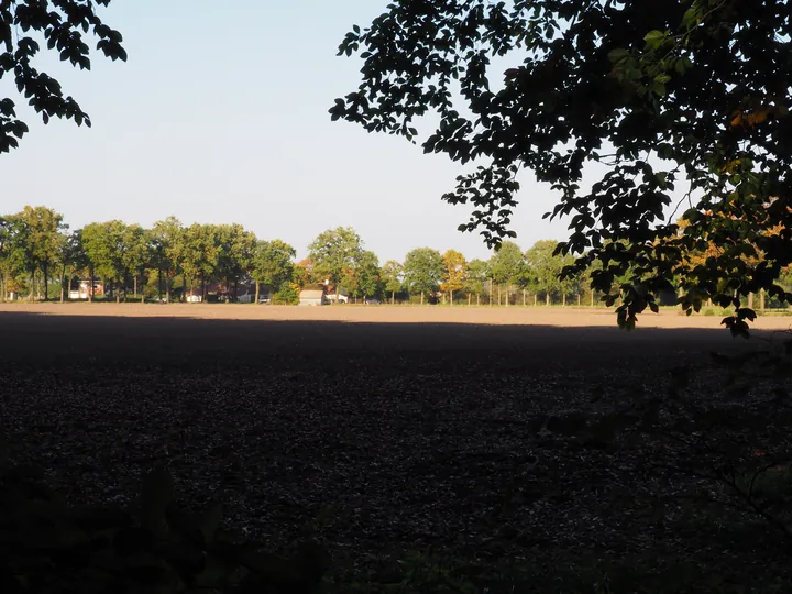 Vagevuurbos en Lippensgoed-Bulskampveld (België)